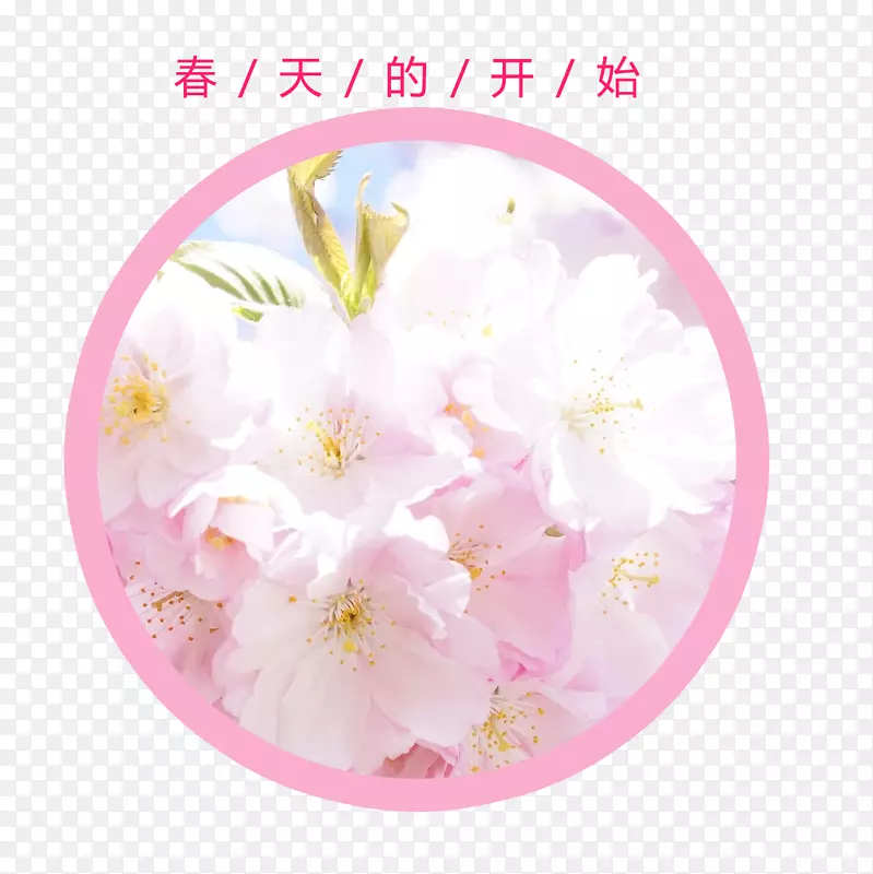 免抠春天粉色的花朵艺术字