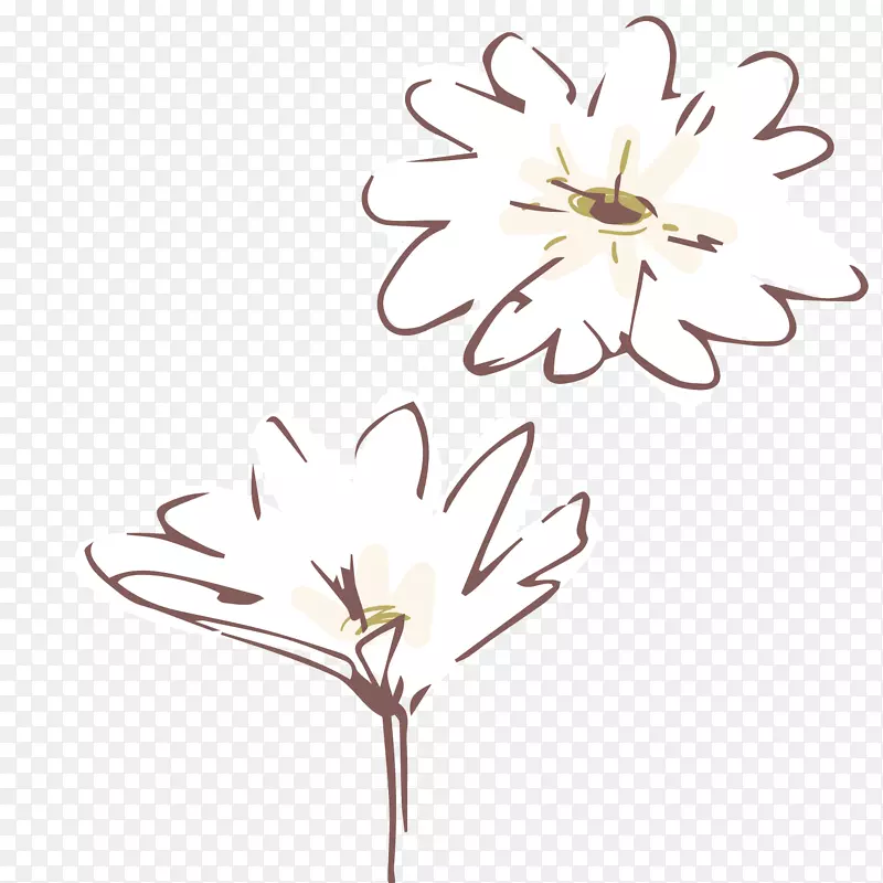 白色花朵唯美手绘