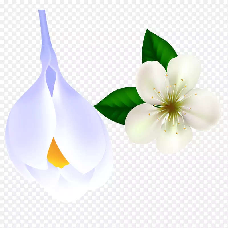 小清新白色手绘花朵装饰