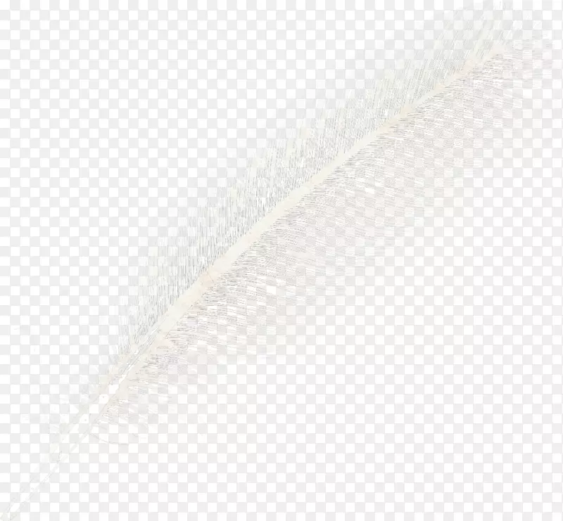 手绘白色羽毛
