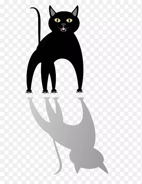 小黑猫的注视