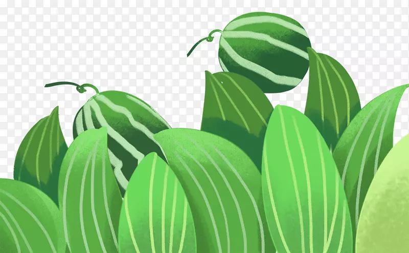 绿色纹理质感西瓜美食元素