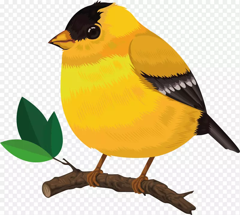 矢量图胖胖的小黄鸟