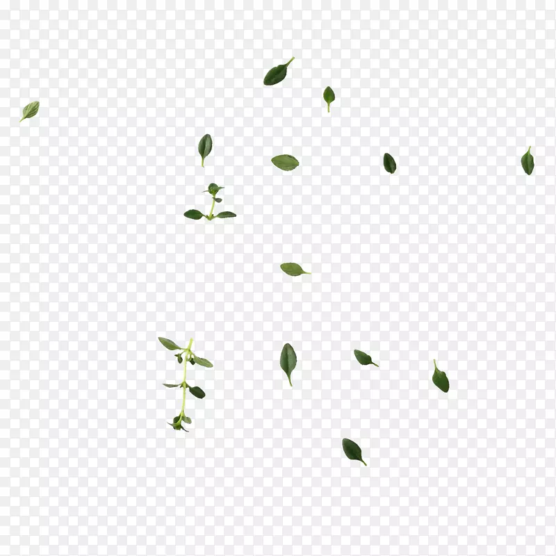 绿色飘落的树叶PNG图片素材下载_图片编号kqwnrpky-免抠素材网