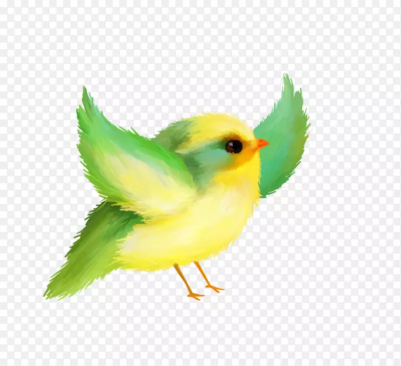 黄绿色的小鸟