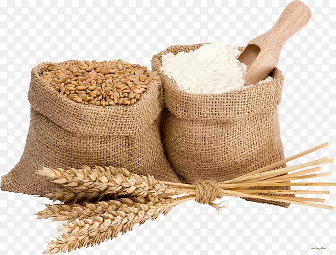 稻谷，谷穗png，免扣素材，麦粒