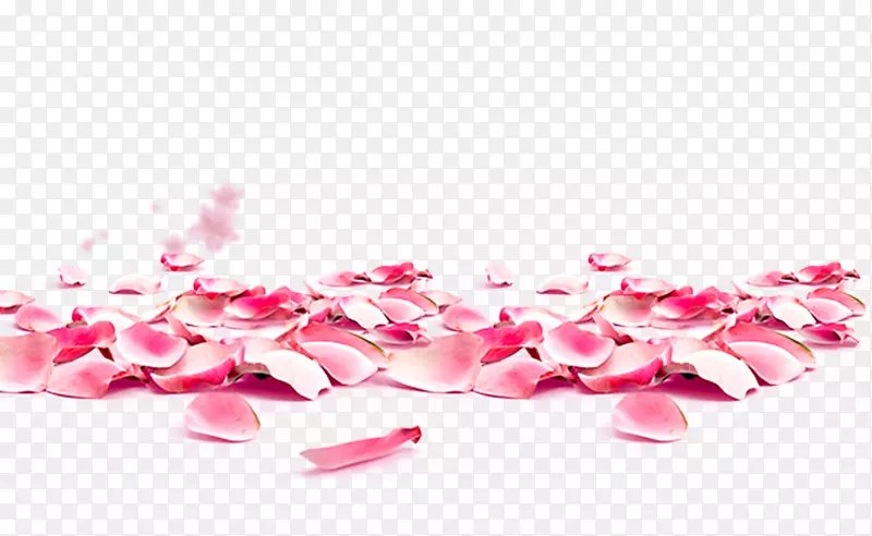 免抠粉色玫瑰花瓣装饰