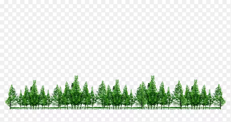 绿色简约树林装饰图案
