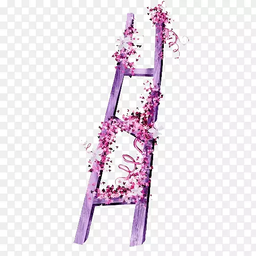 紫色花纹梯子
