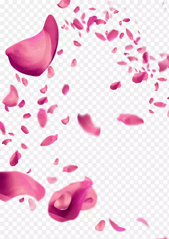 粉色模糊植物花瓣漂浮