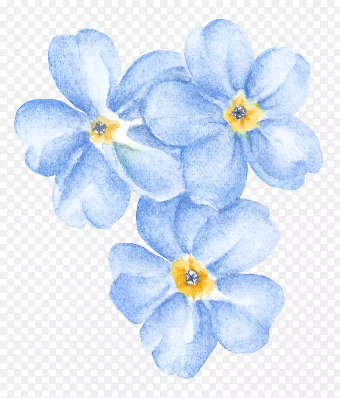 手绘蓝色唯美花朵免抠图