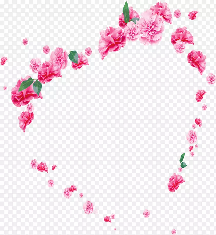 粉色康乃馨花朵爱心
