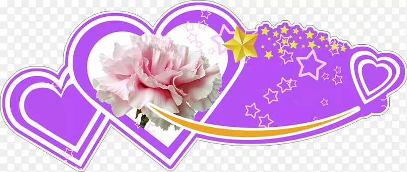 手绘紫色爱心粉色康乃馨花朵