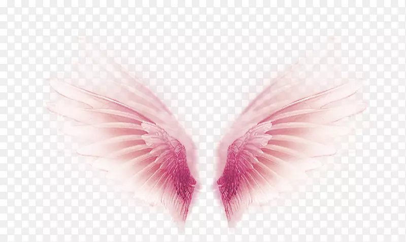 粉色梦幻翅膀装饰图案