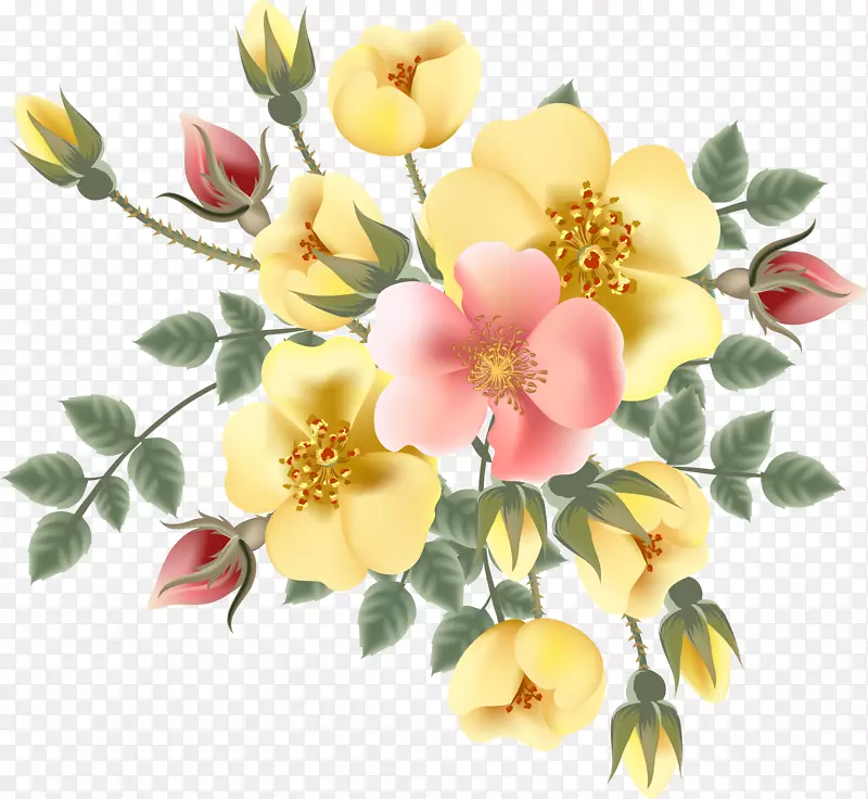 手绘水彩黄色的蔷薇花