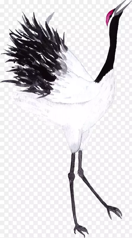 卡通手绘白色的鹤