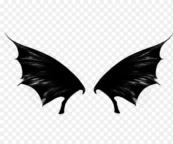 翅膀，梦幻，恐怖，黑色
