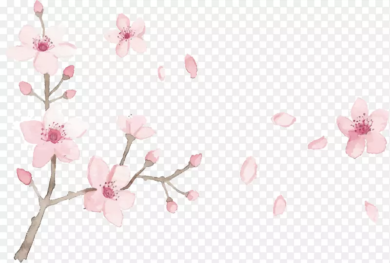 粉红色浪漫桃花