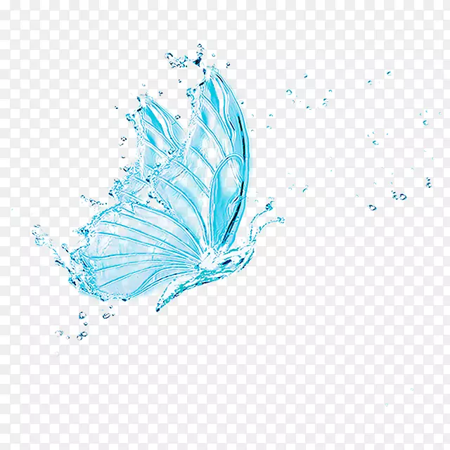 唯美的水蝴蝶