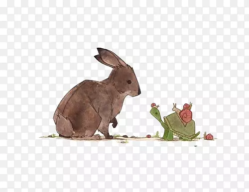 龟兔赛跑素材
