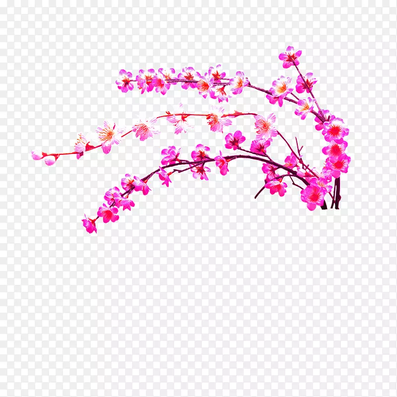 粉色桃花枝装饰图案