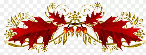 花藤