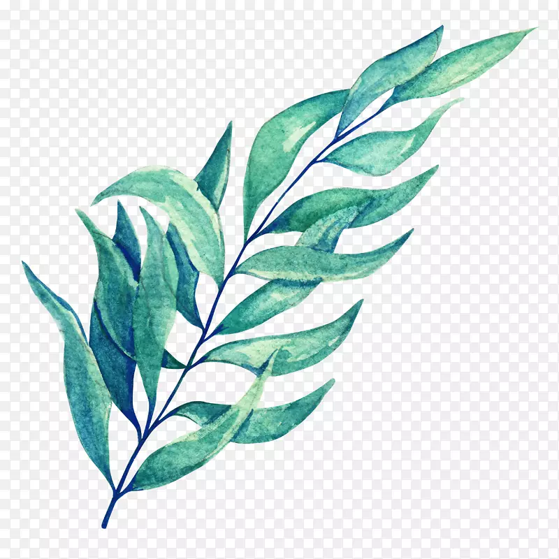 手绘水彩绿色树叶