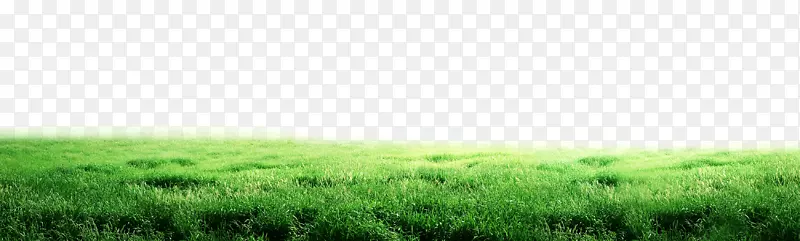 绿色简约草地边框纹理