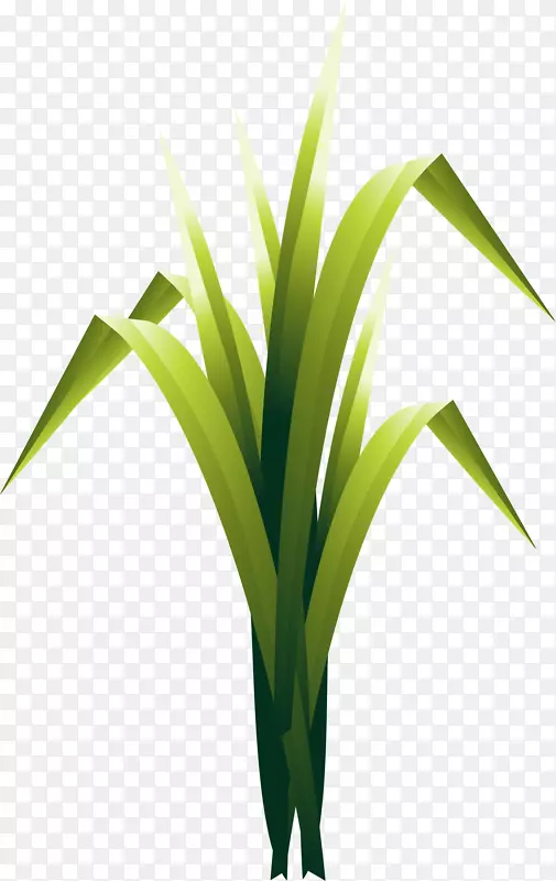 卡通绿色小草