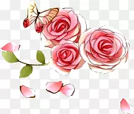 玫瑰花与蝴蝶