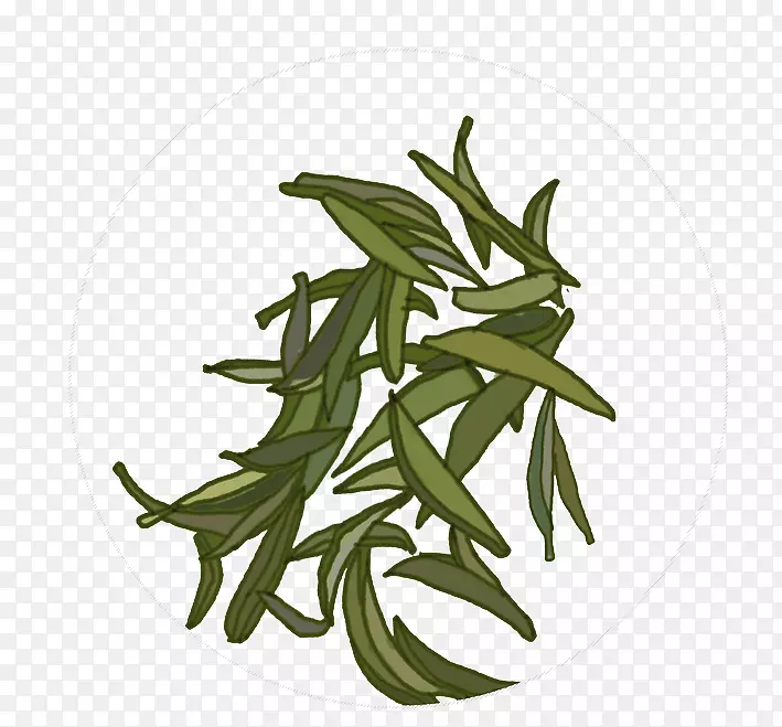 绿色的茶叶