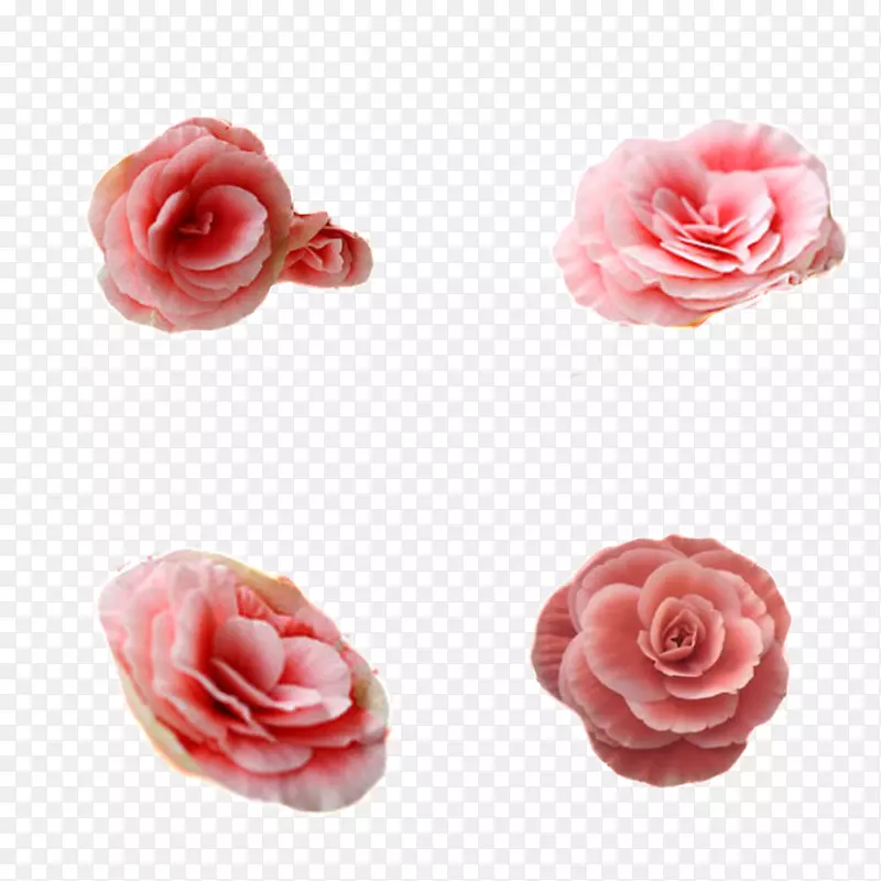 四朵粉色玫瑰花
