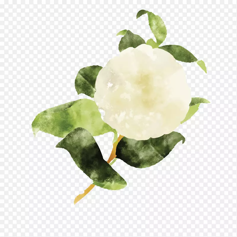 卡通创意手绘花卉