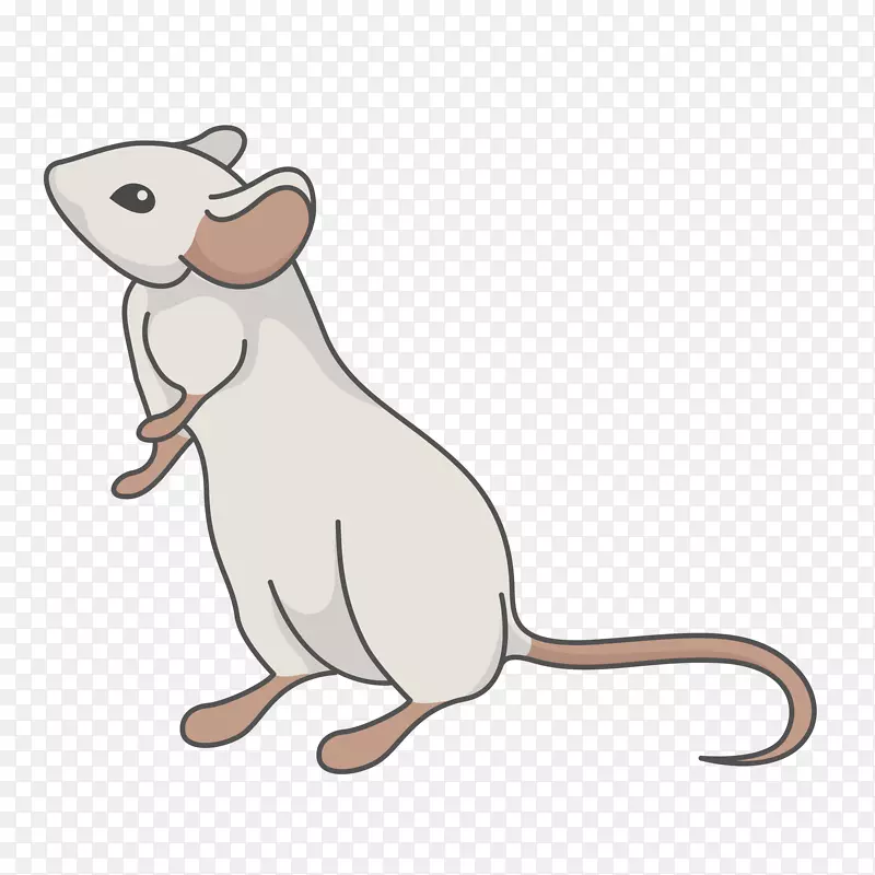 白色手绘卡通老鼠