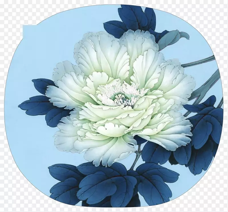 白牡丹花
