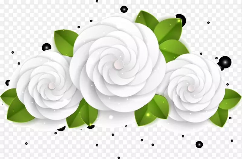 白色花朵装饰图案