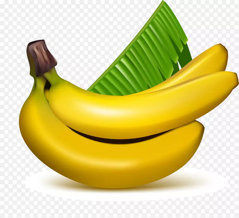 香蕉与芭蕉叶