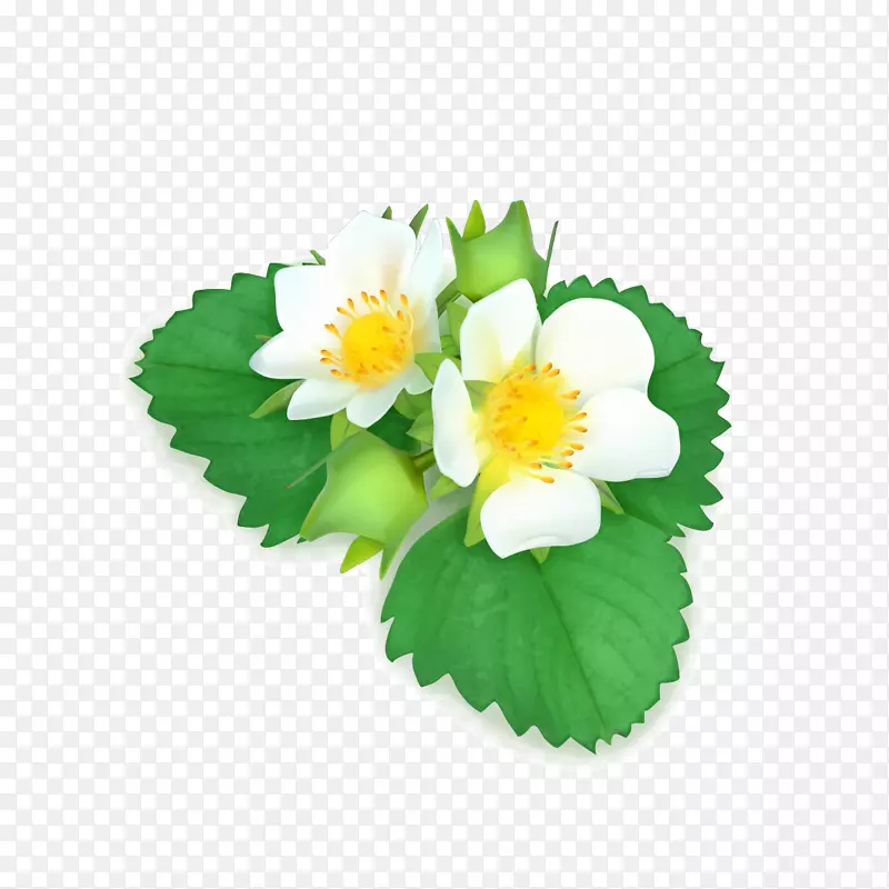 手绘花朵白色花朵