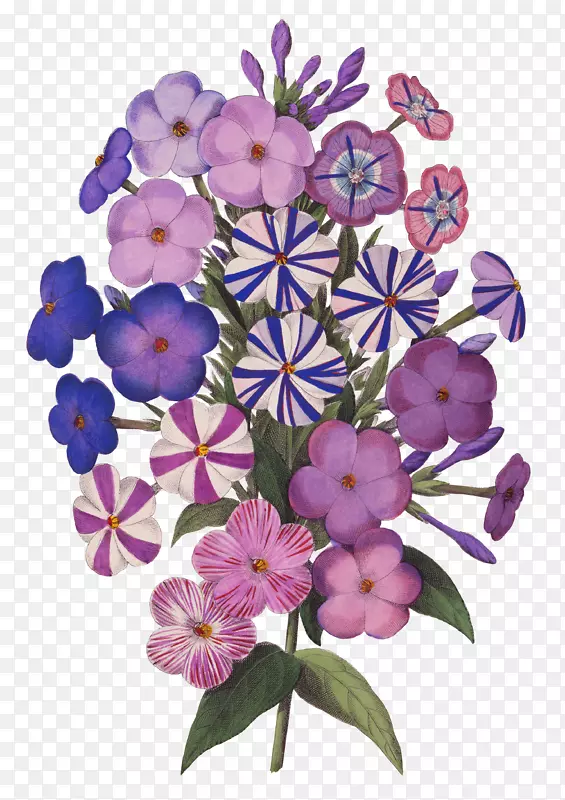 紫色手绘花卉