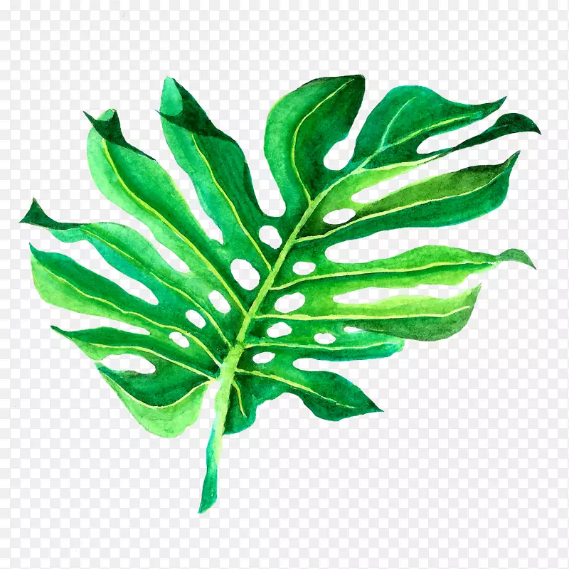 绿色手绘植物装饰