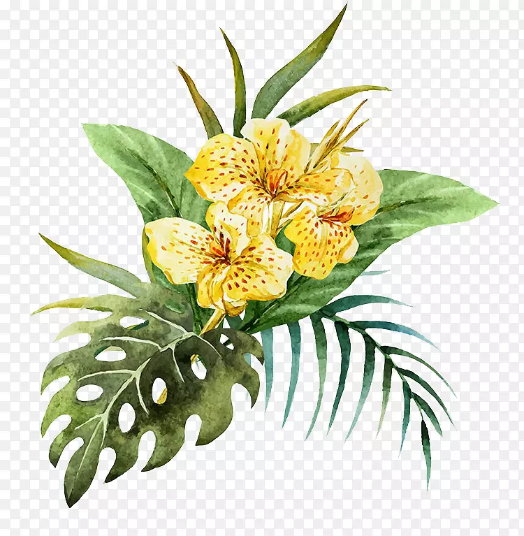 手绘的热带植物装饰