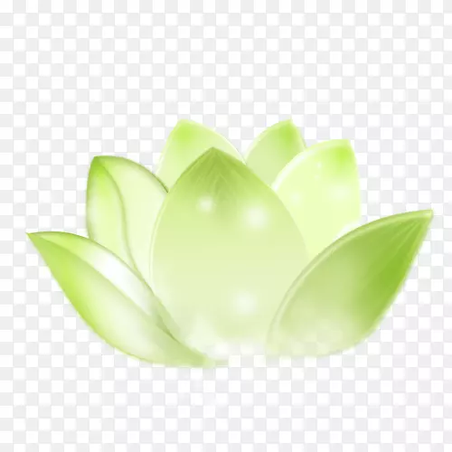 时尚风格装饰花边花朵