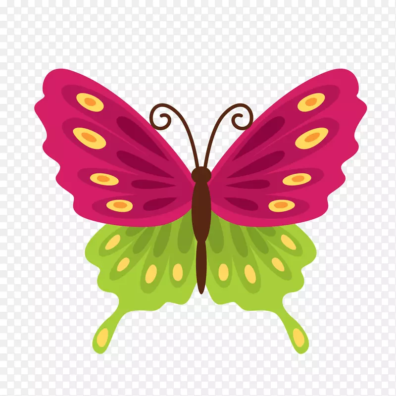 彩色蝴蝶标签贴纸