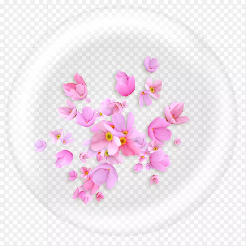 粉色报春花装饰素材