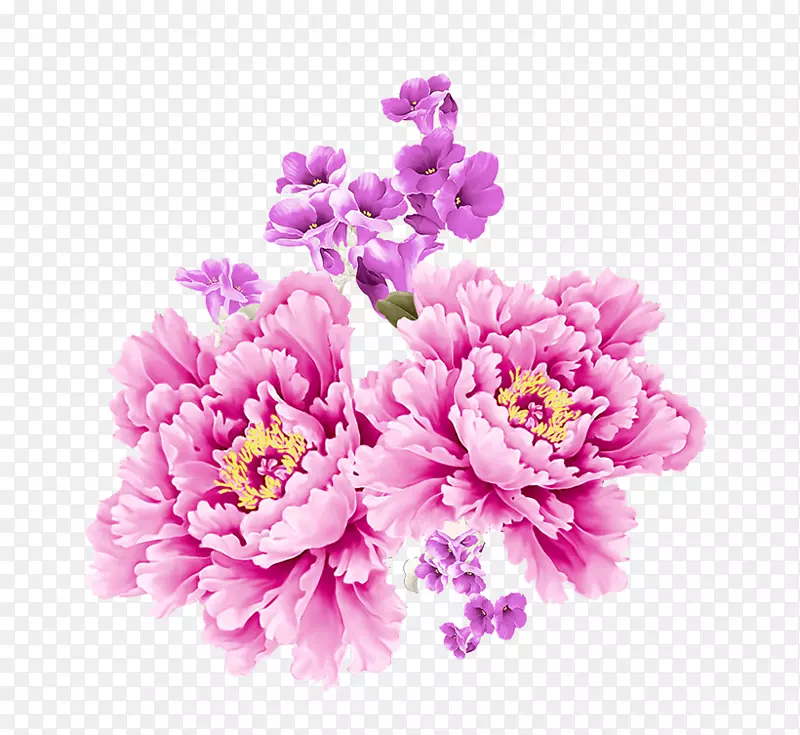 粉色植物花朵装饰