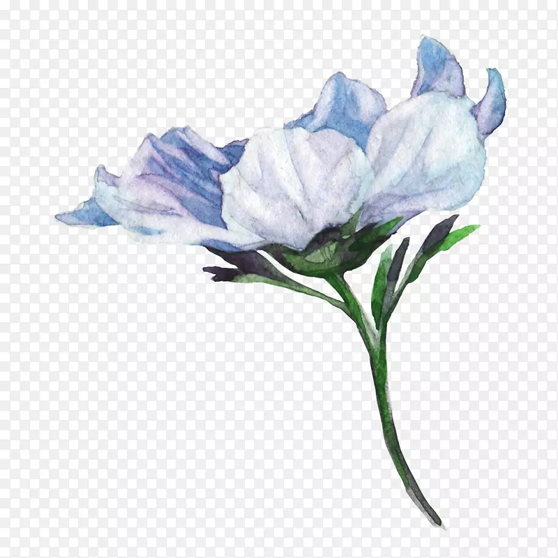 蓝色手绘的鲜艳花朵