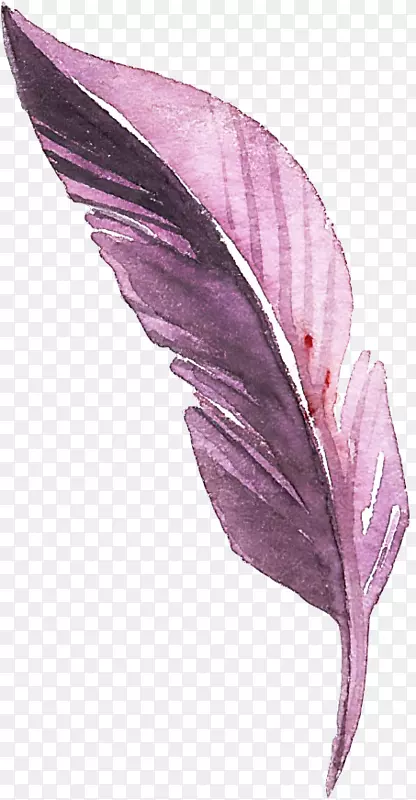 手绘紫色叶子装饰