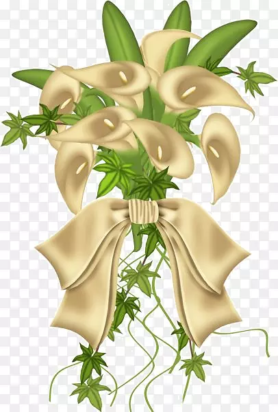 手绘马蹄莲