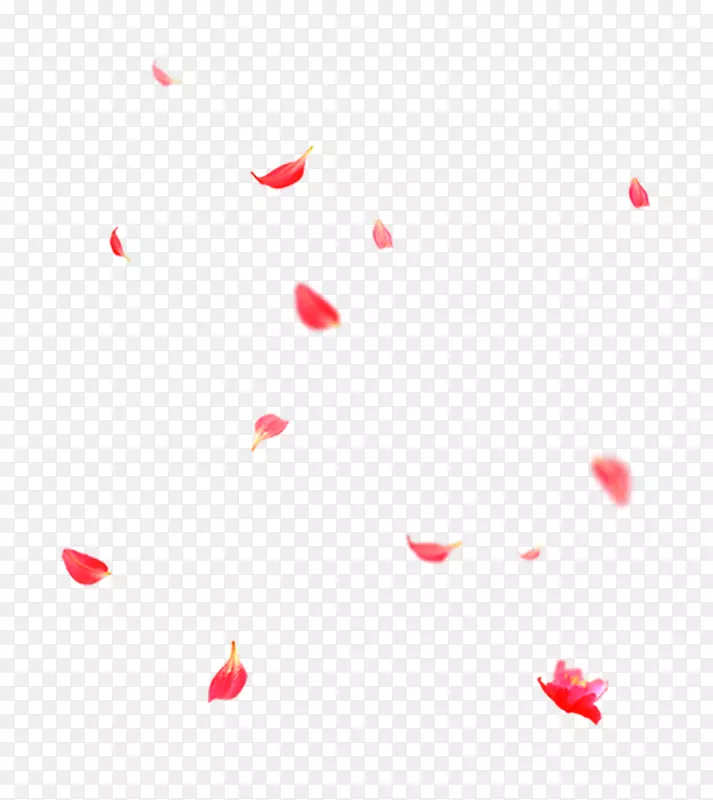 红色散落的花瓣免抠素材