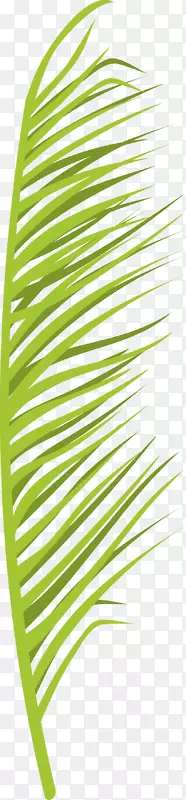 绿色棕榈叶设计图